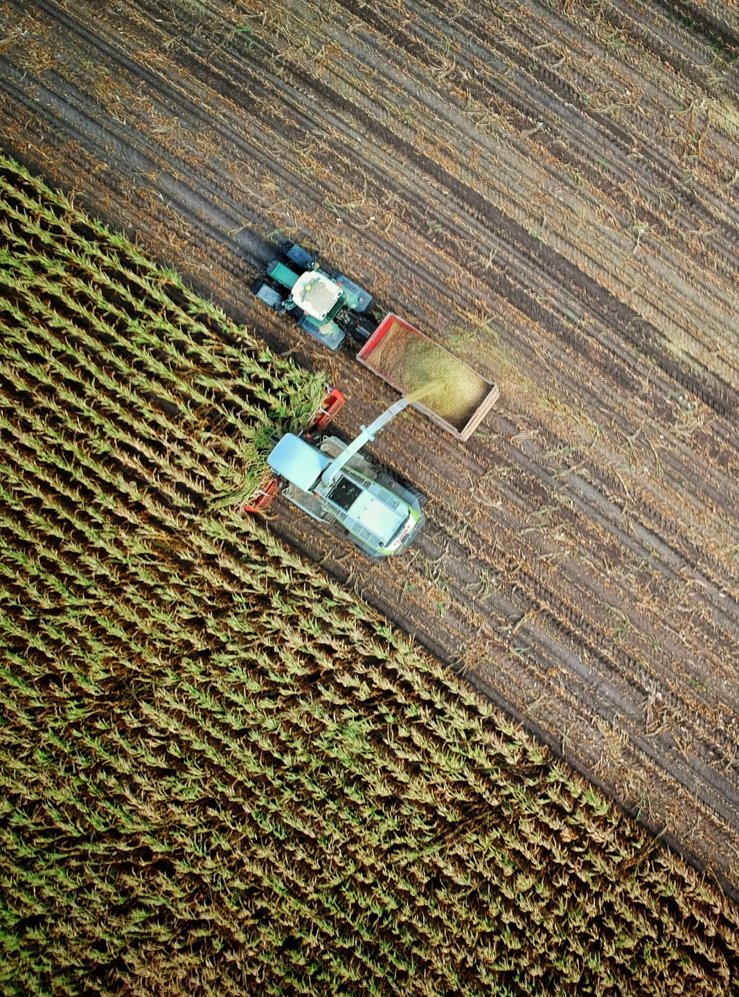 Sustainable agriculture